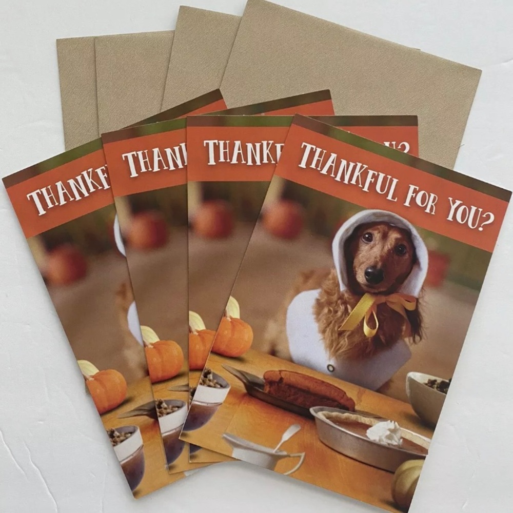 Dachshund Thanksgiving Cards Set of 4 Hallmark